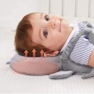 protector anticaida 5