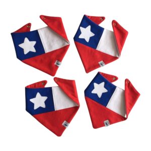 Babero Bandana Colección Chile Lindo Mi Guagua Taquillera – vista 4