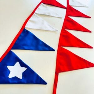 Banderin Chileno mi guagua taquillera