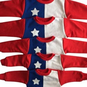 Poleron bandera Chile Mi guagua taquillera