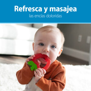 Mordedor lleno de agua 3M+, 1 piña y 1 Manzana Dr. Brown’s