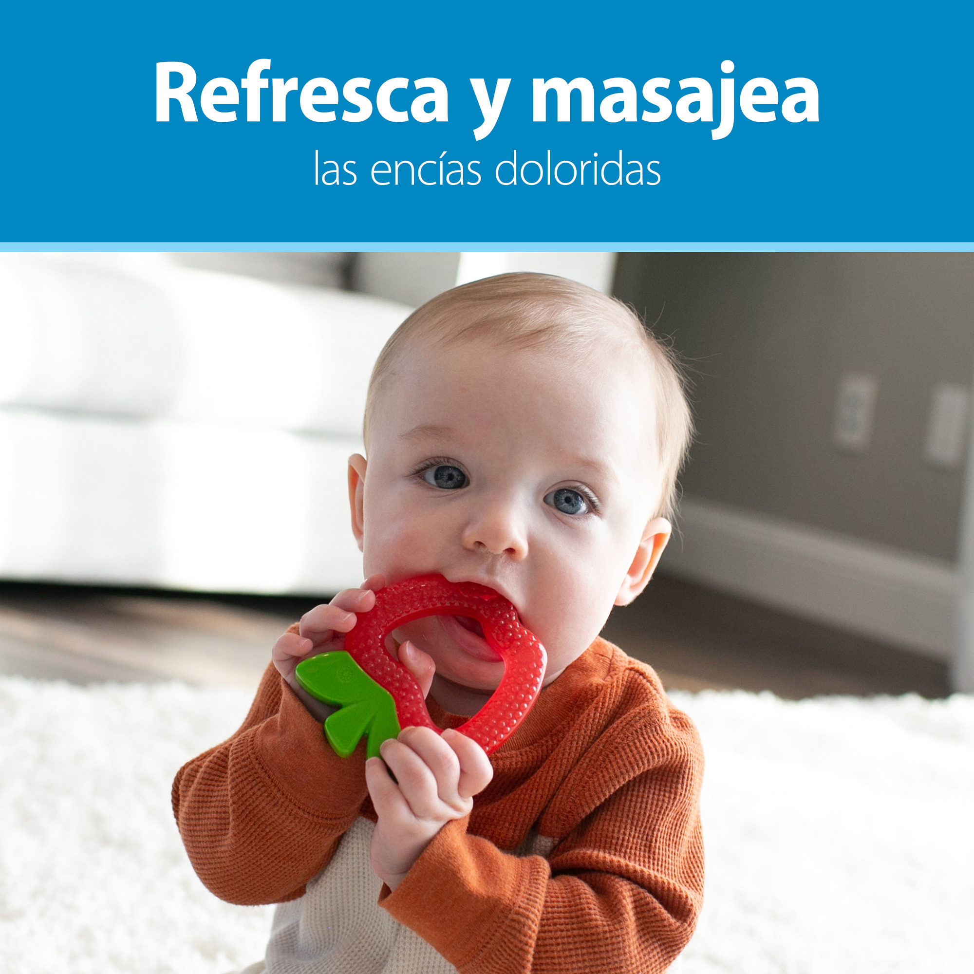 Mordedor lleno de agua 3M+, 1 piña y 1 Manzana Dr. Brown’s